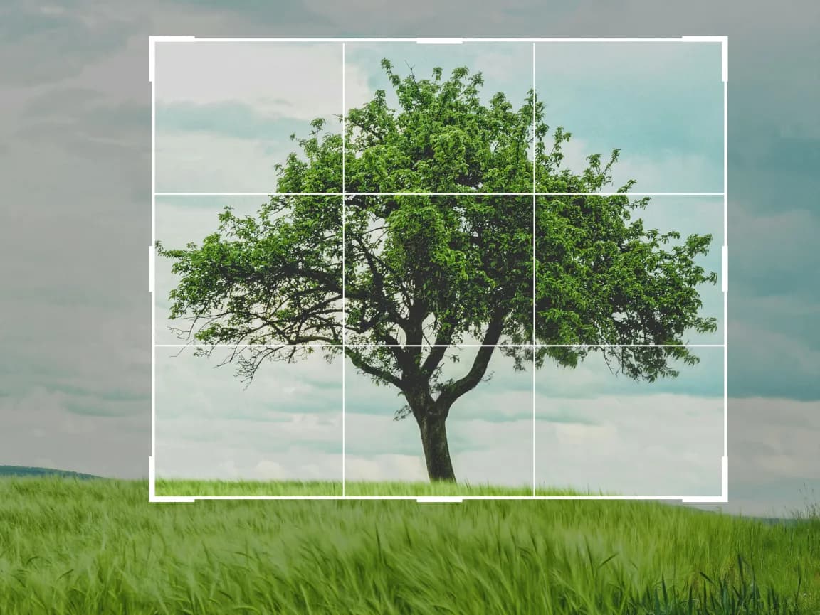 Crop Images Online With Imglarger Photo Editor Crop Images Online With Imglarger Photo Editor